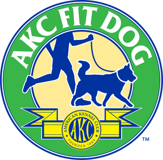 AKC FitDog Levels 1-3 Class