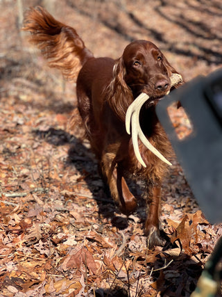 Shed Hunt Seminars